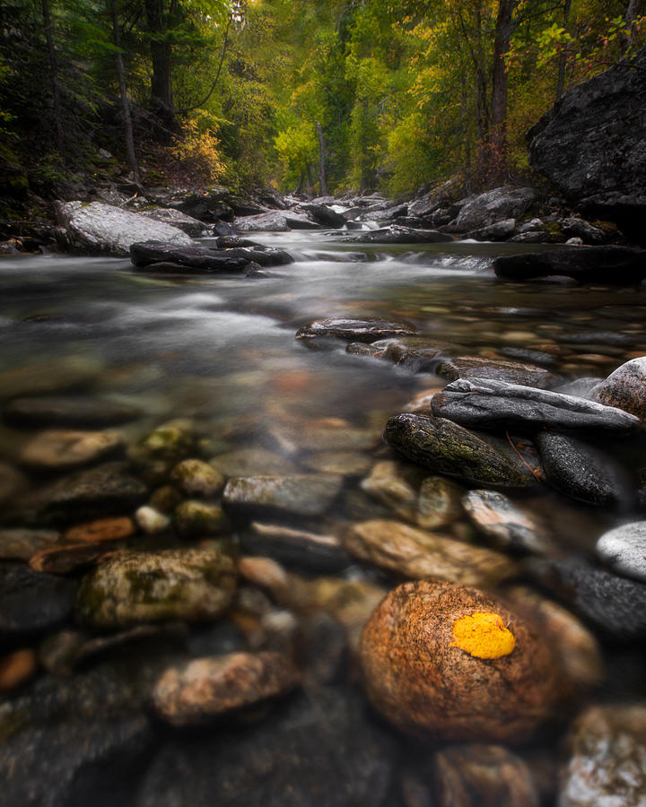 Kootenai Creek in Fall Photograph by Matt Hammerstein