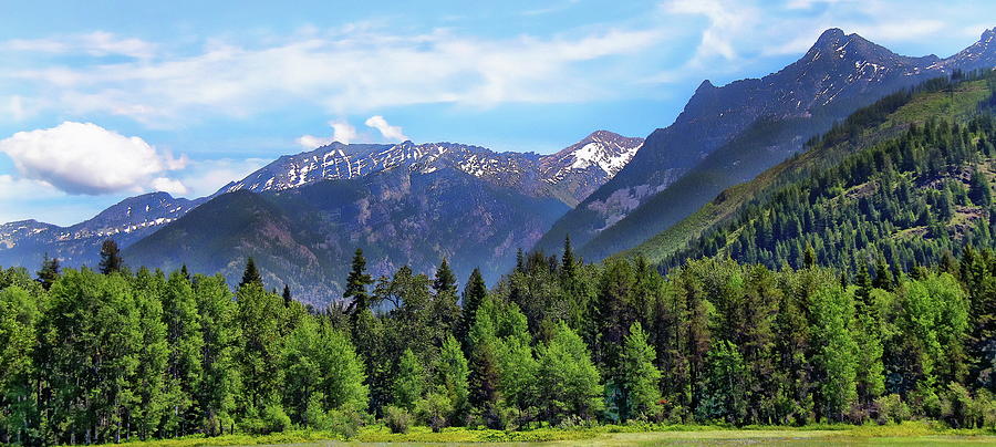 Kootenai National Forest by Anthony Dezenzio Kootenai National Forest by Anthony Dezenzio