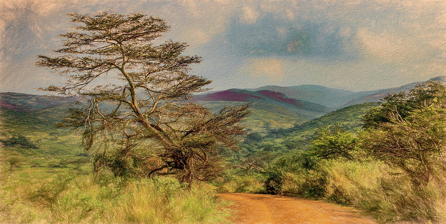 Kruger Safari Landscape Photograph by Marcy Wielfaert