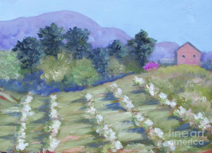 KT's Orchard by Anne Marie Brown KT's Orchard by Anne Marie Brown