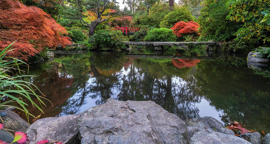 Kubota Autumn Reflection Photograph by Ken Stanback