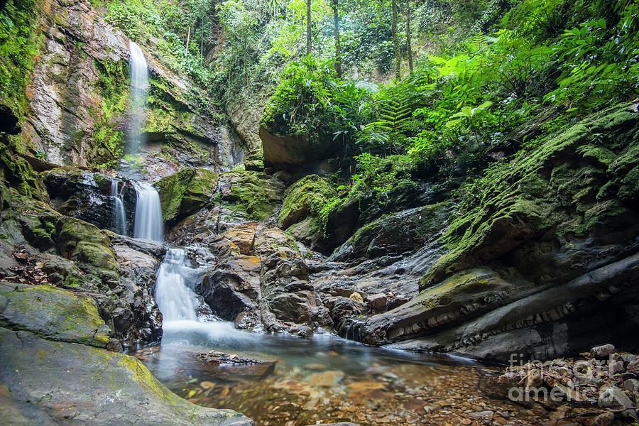 Sabah Photograph - Kuli Falls by Scubazoo/science Photo Library Sabah Photograph - Kuli Falls by Scubazoo/science Photo Library