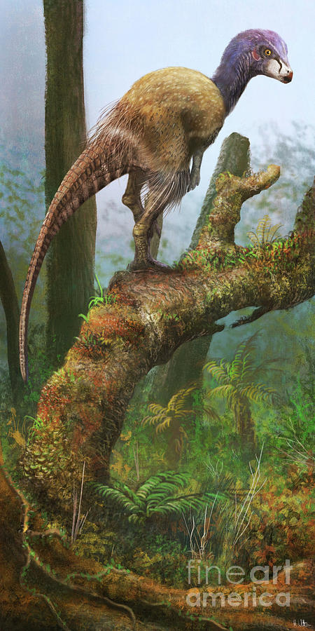 Kulindadromeus Dinosaur Photograph by Mark P. Witton/science Photo Library