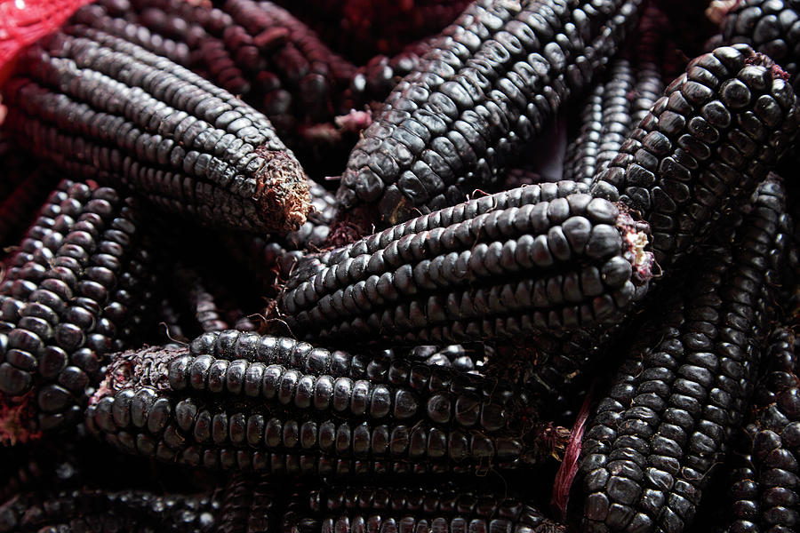 Black Photograph - Kulli Black Incan Corn Cobs, San Pedro by David Wall