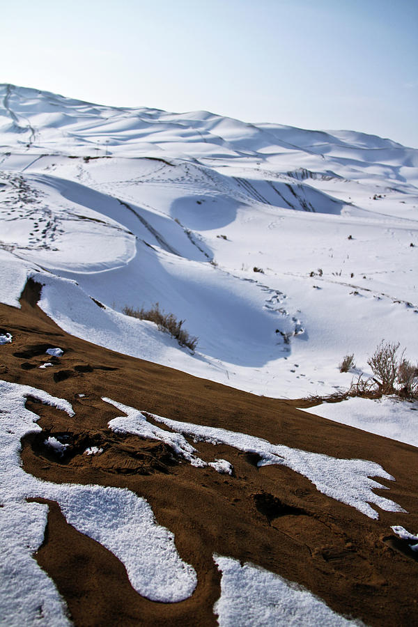 Kumtag Desert In Winter Photograph by Automidori