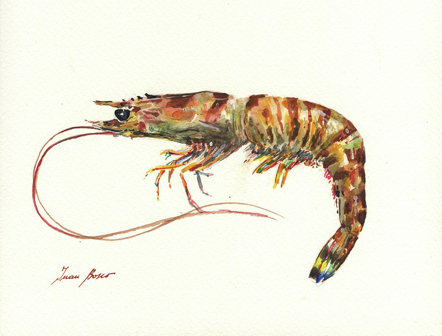 Kuruma prawn Painting by Juan Bosco