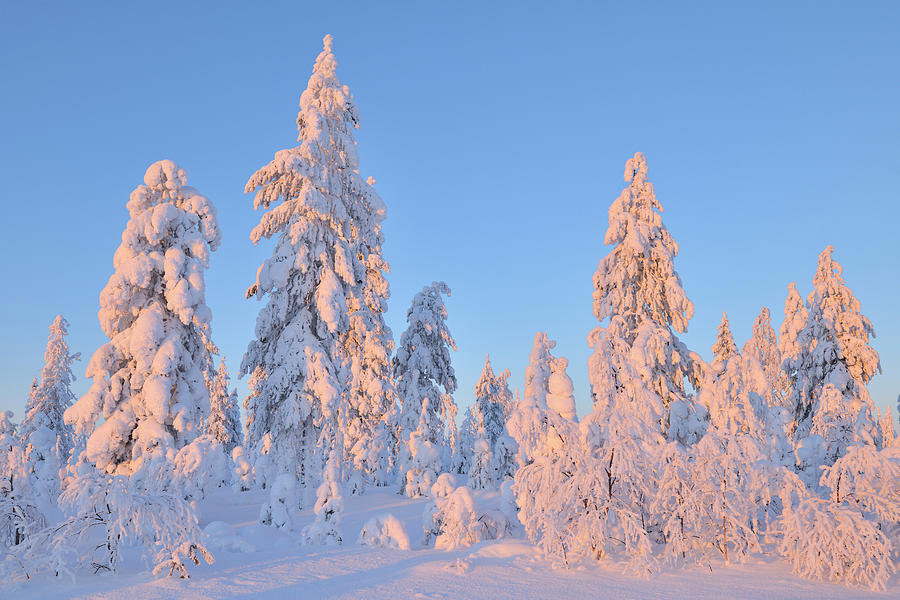 Kuusamo, Northern Ostrobothnia, Oulu by Raimund Linke