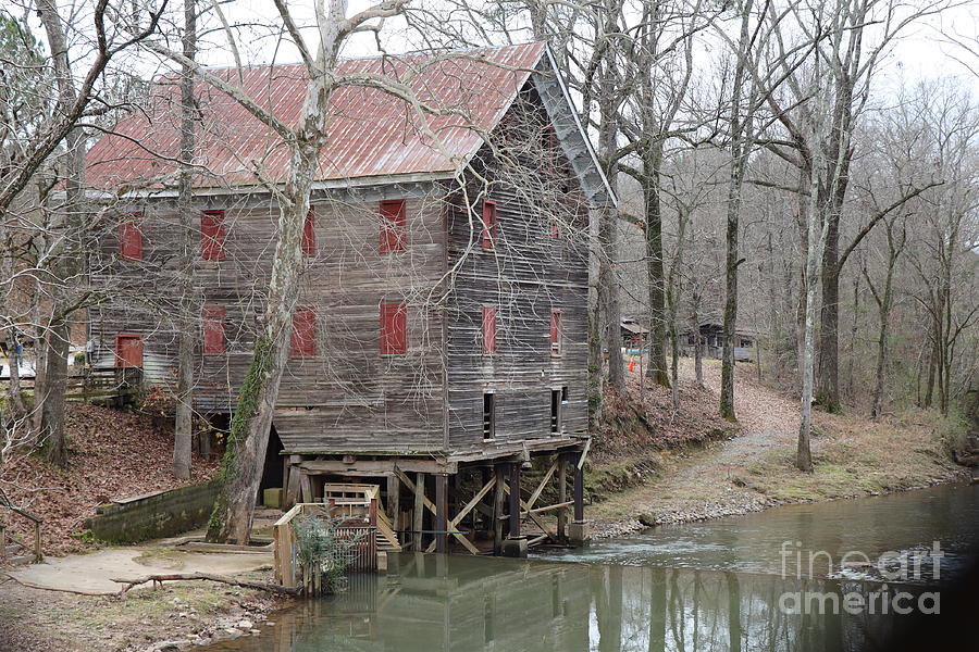 Tree Photograph - Kymulga Grist Mill by Dwight Cook