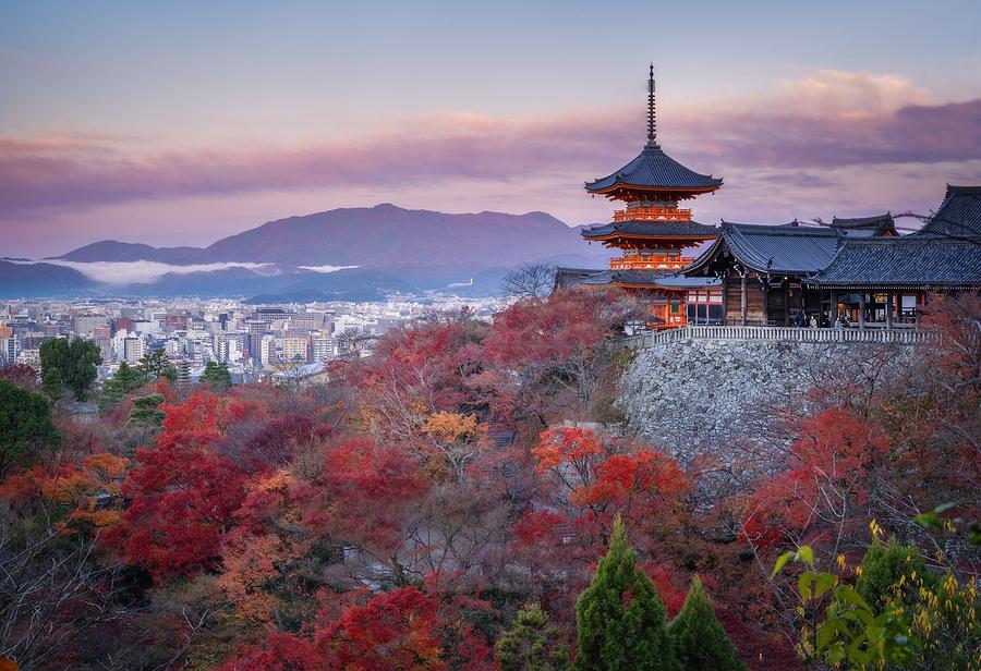 Kyoto Fall Foliage Photograph by Chengming