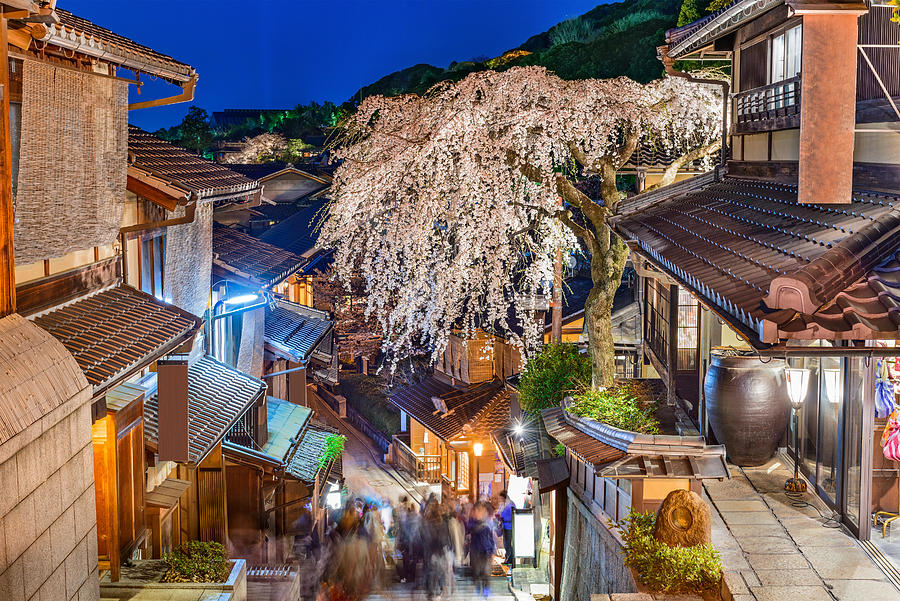 Tree Photograph - Kyoto, Japan Alleyway Scene by Sean Pavone