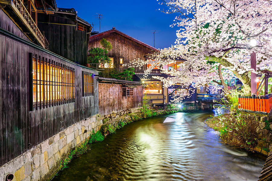 Landscape Photograph - Kyoto, Japan At Shirakawa Canal In Gion by Sean Pavone
