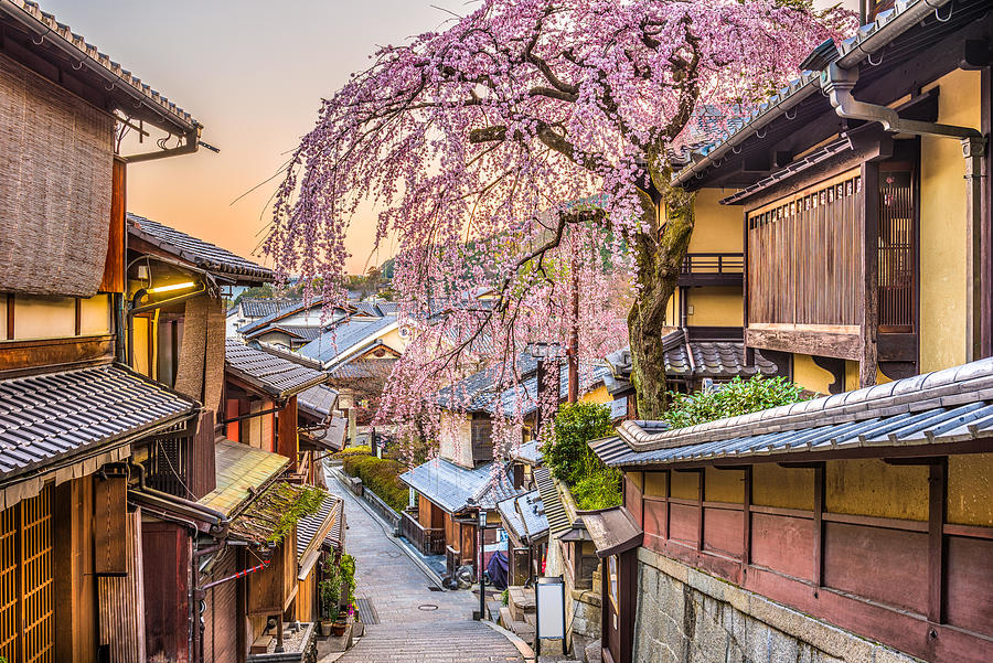 Tree Photograph - Kyoto, Japan Springtime At The Historic by Sean Pavone