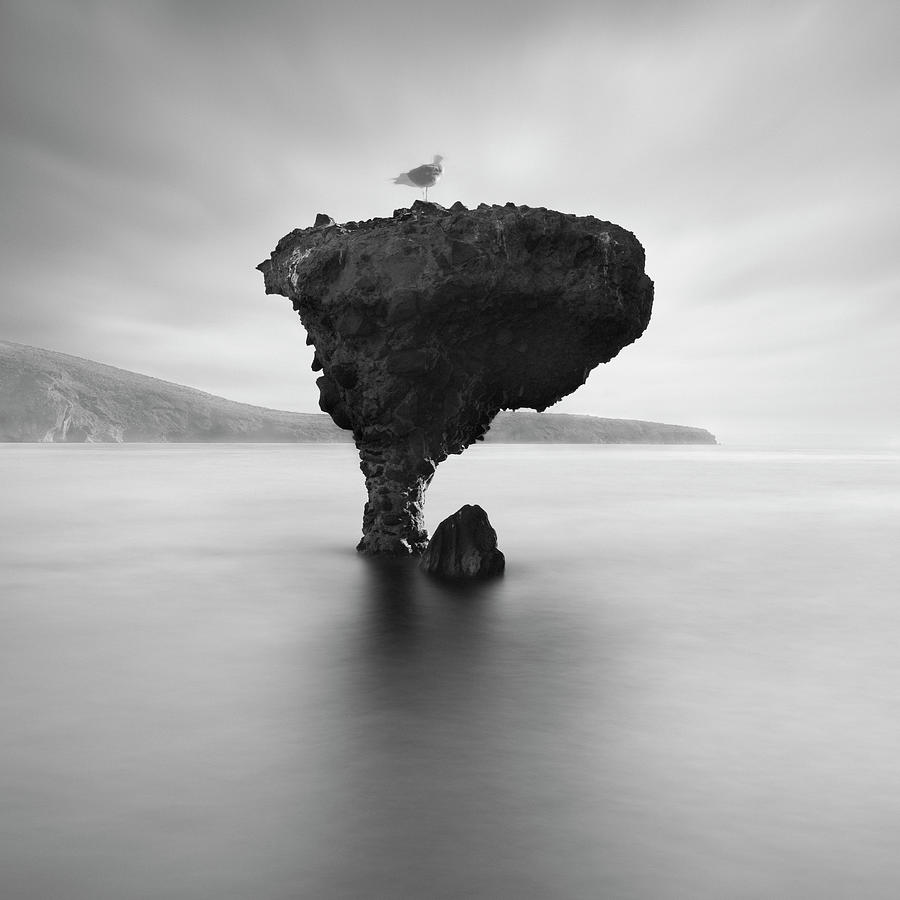 Black And White Photograph - La Balandra by Moises Levy