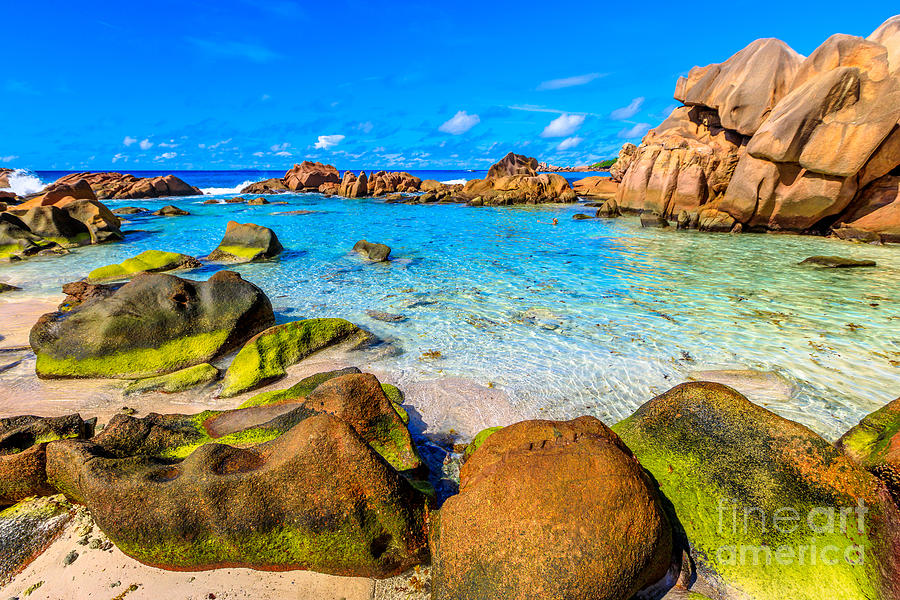 La Digue Anse Coco Photograph by Benny Marty