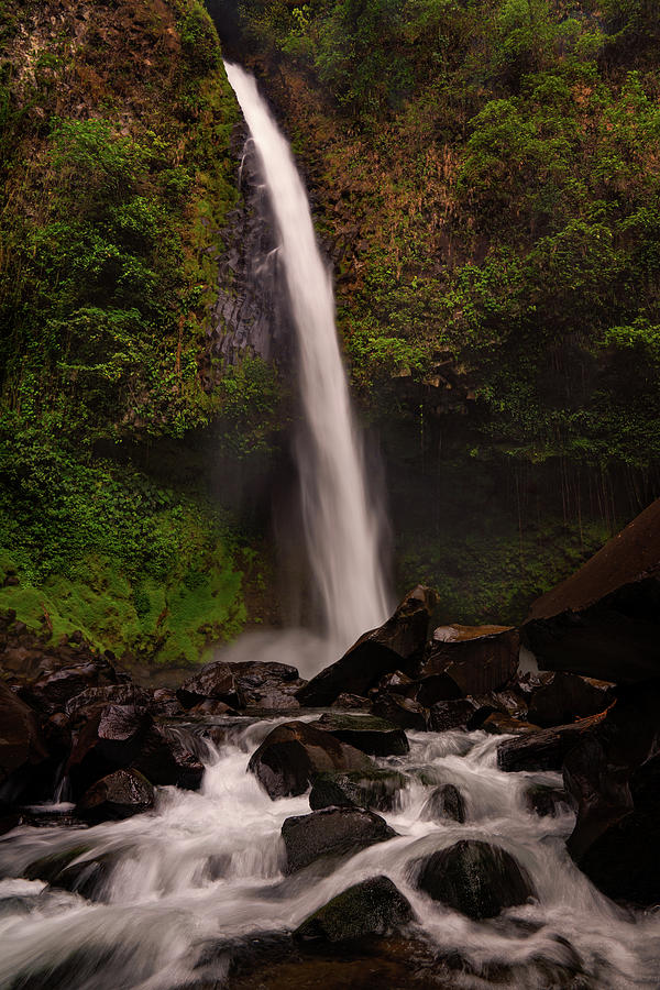 La Fortuna Waterfall Photograph by Darylann Leonard Photography