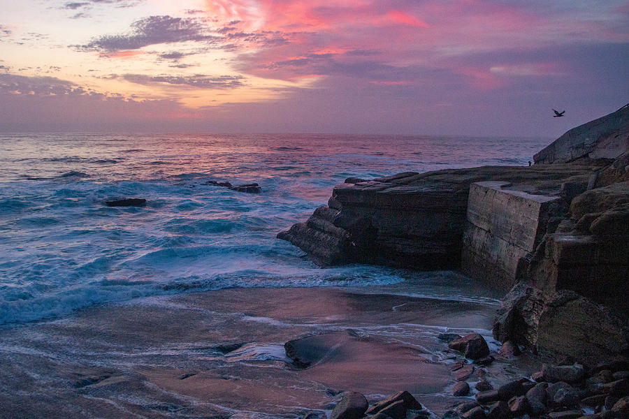 La Jolla Beach Photograph by Anna Kogan - Fine Art America