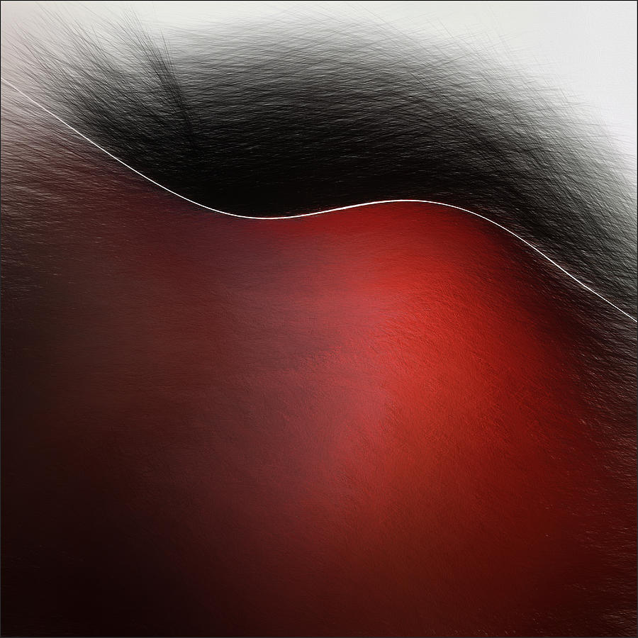 Abstract Photograph - La Luce Nera by Gilbert Claes