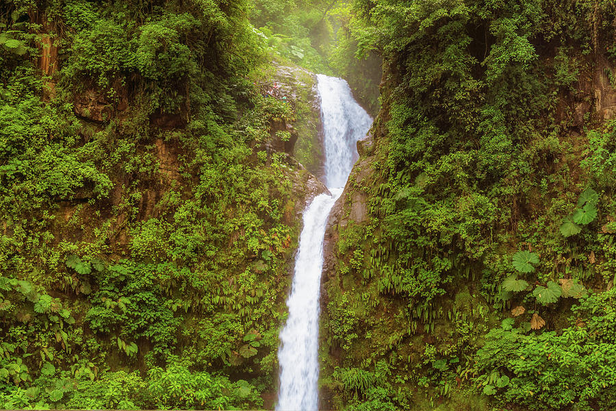 peaceful waterfall background loi