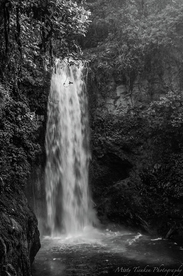 La Paz Waterfall Photograph by Misty Tienken