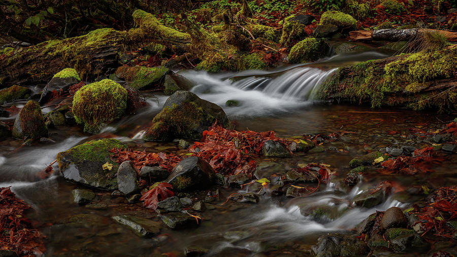 La Poel 2 Photograph by Mike Penney - Fine Art America