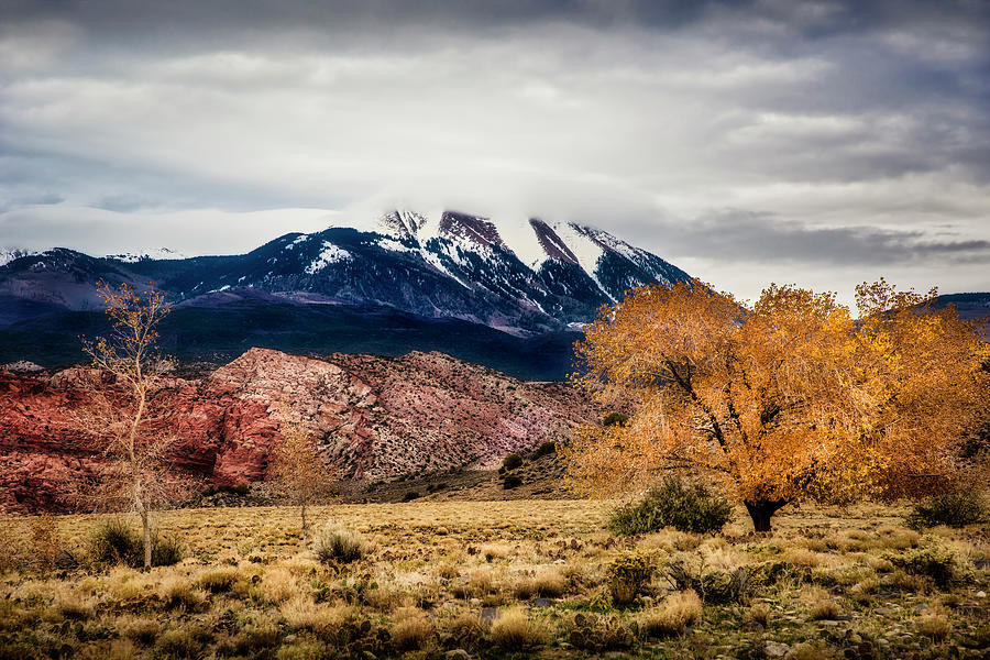 La Sal Mountain Range Photograph by David Morefield