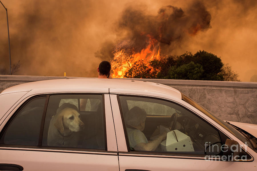 La Tuna Canyon Fire Prompts Evacuations Photograph by David Mcnew