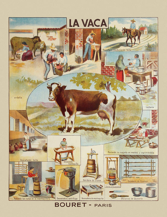 La Vaca Painting by Unknown