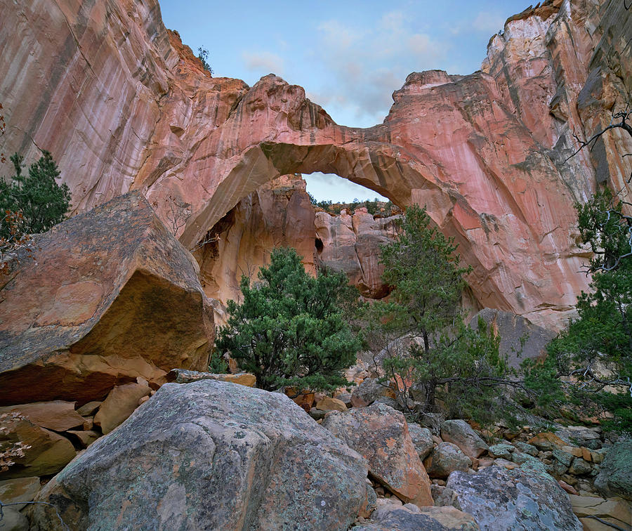 La Ventana Arch, El Malpais Nm, New Mexico Photograph by Tim Fitzharris
