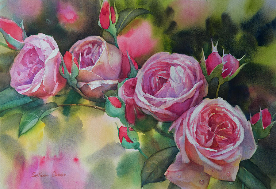 Flower Painting - La Vie En Rose by Svetlana Orinko