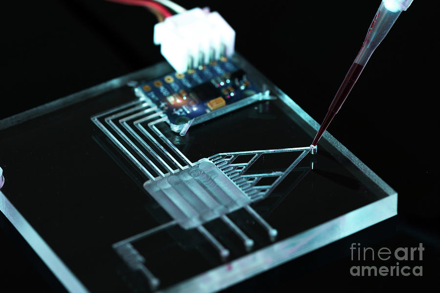 Lab On A Chip Photograph by Wladimir Bulgar/science Photo Library