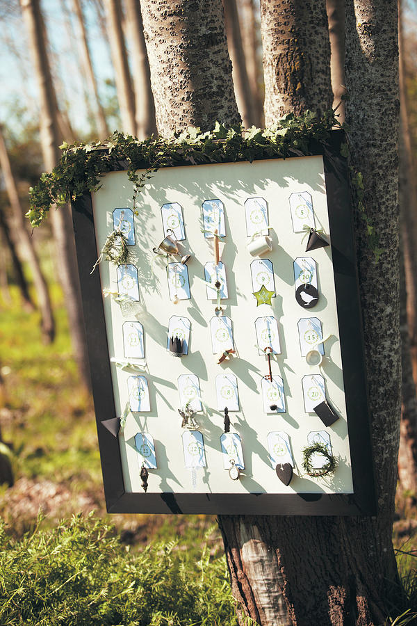 Labels With Knick-knacks In Picture Frame Hung On Tree Photograph by Great Stock!