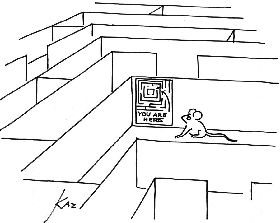 Laboratory Mouse In A Maze With Directions Drawing by Kaz Laboratory Mouse In A Maze With Directions Drawing by Kaz
