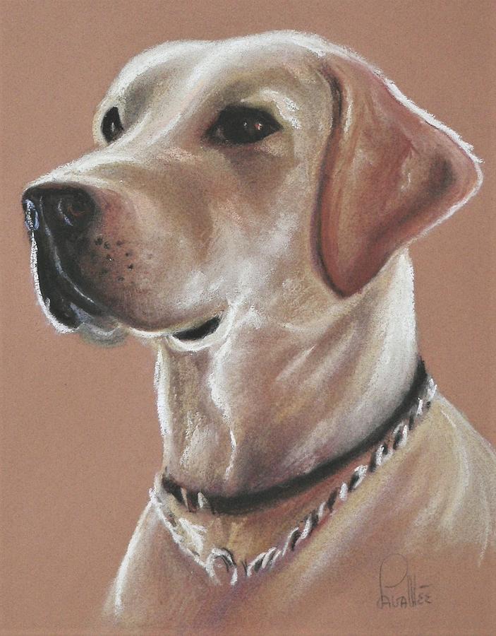 Dog Pastel - Labrador portrait by Louise Lavallee