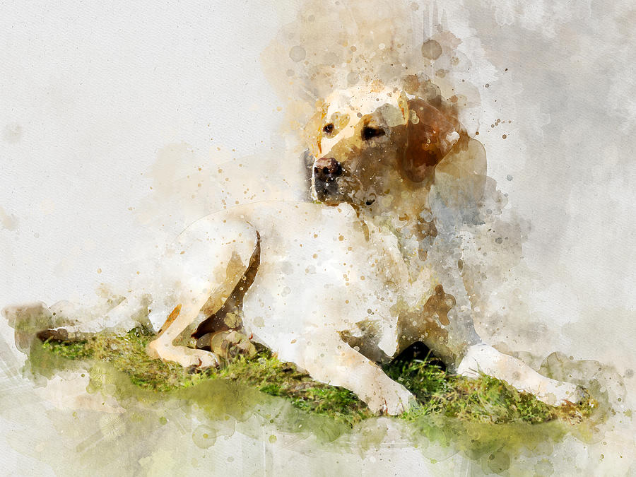 Labrador Retriever Dog Watercolor Portrait 03 Painting By