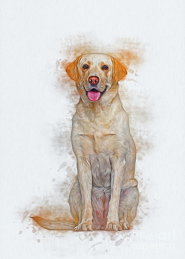 Labrador Retriever Digital Art by Ian Mitchell