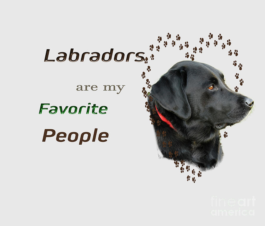 Labs are my Favorite People Photograph by Sandra Clark