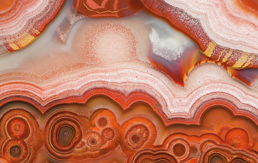 Lace Agate, Macro Photograph by Mark Windom