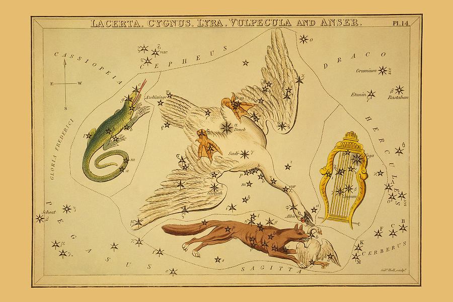 Greek Painting - Lacerta, Cygnus, Lyra, Vulpecula and Anser by Aspin Jehosaphat