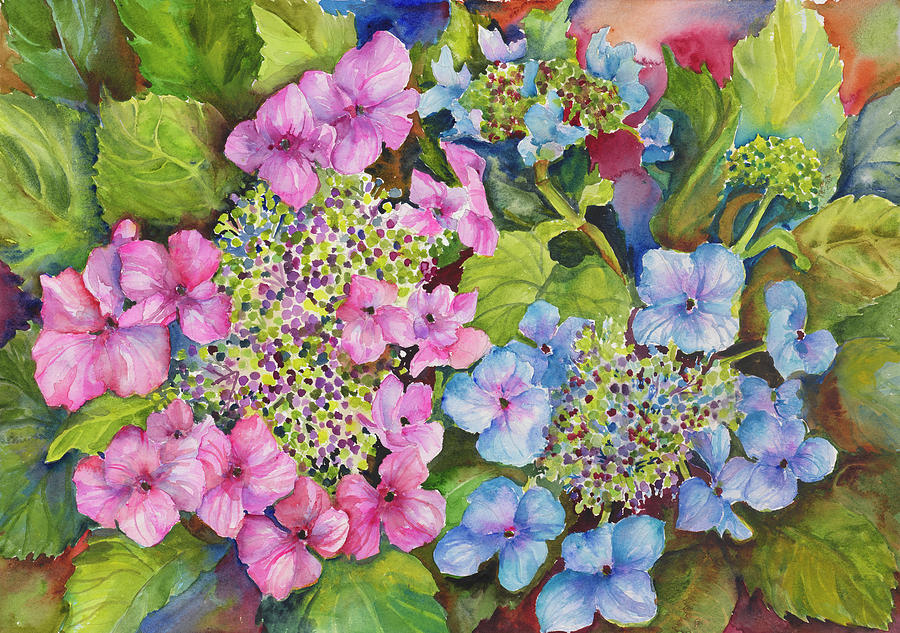 Lacy Hydrangea Painting by Joanne Porter - Fine Art America