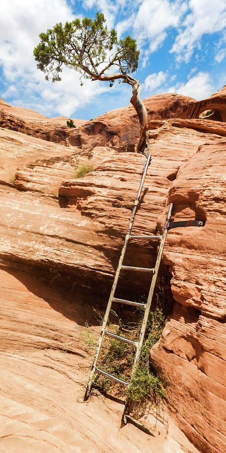 Ladder to Corona Arch Photograph by Joe Kopp