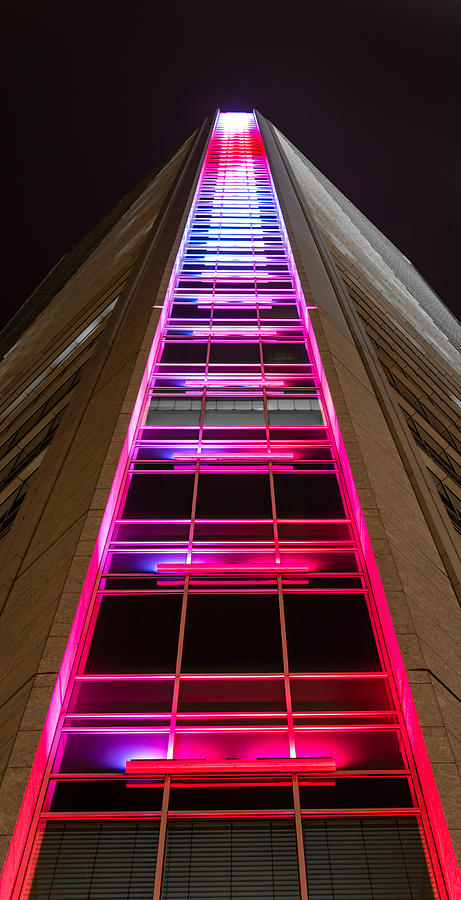 Duke Photograph - Ladder to Heaven by Christine Buckley Duke Photograph - Ladder to Heaven by Christine Buckley