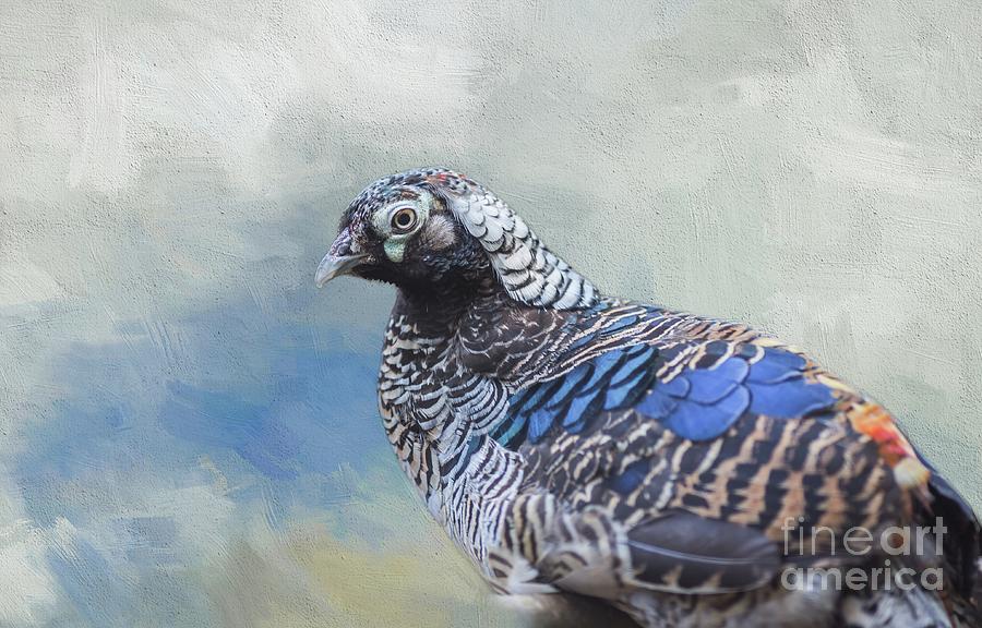 Lady Amhersts Pheasant Male Mixed Media by Eva Lechner