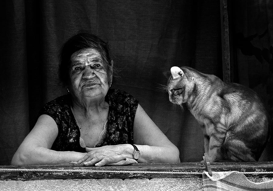 Portrait Photograph - Lady At The Window With Her Cat by Ezequiel59