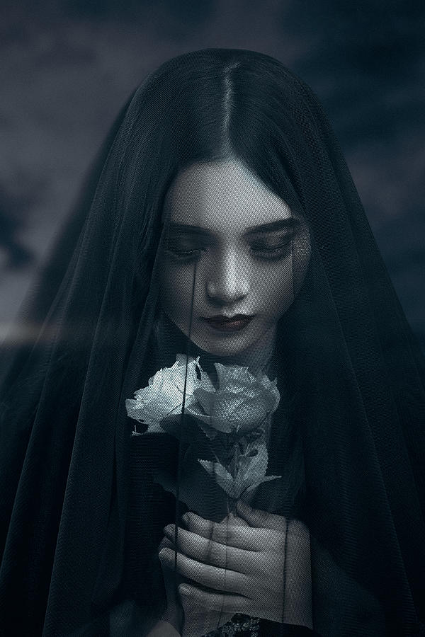 Portrait Photograph - Lady Black Rose by Lulu