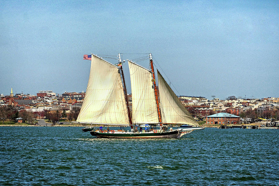 Lady Maryland Schooner in Baltimore Harbor Photograph by Bill Swartwout