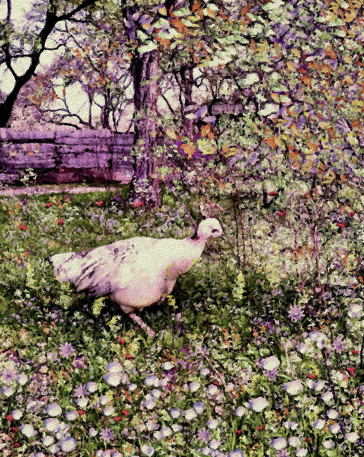 Lady Peahen Mixed Media by Natalie Holland