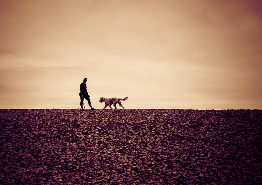 Lady with Dog Photograph by Anamar Pictures