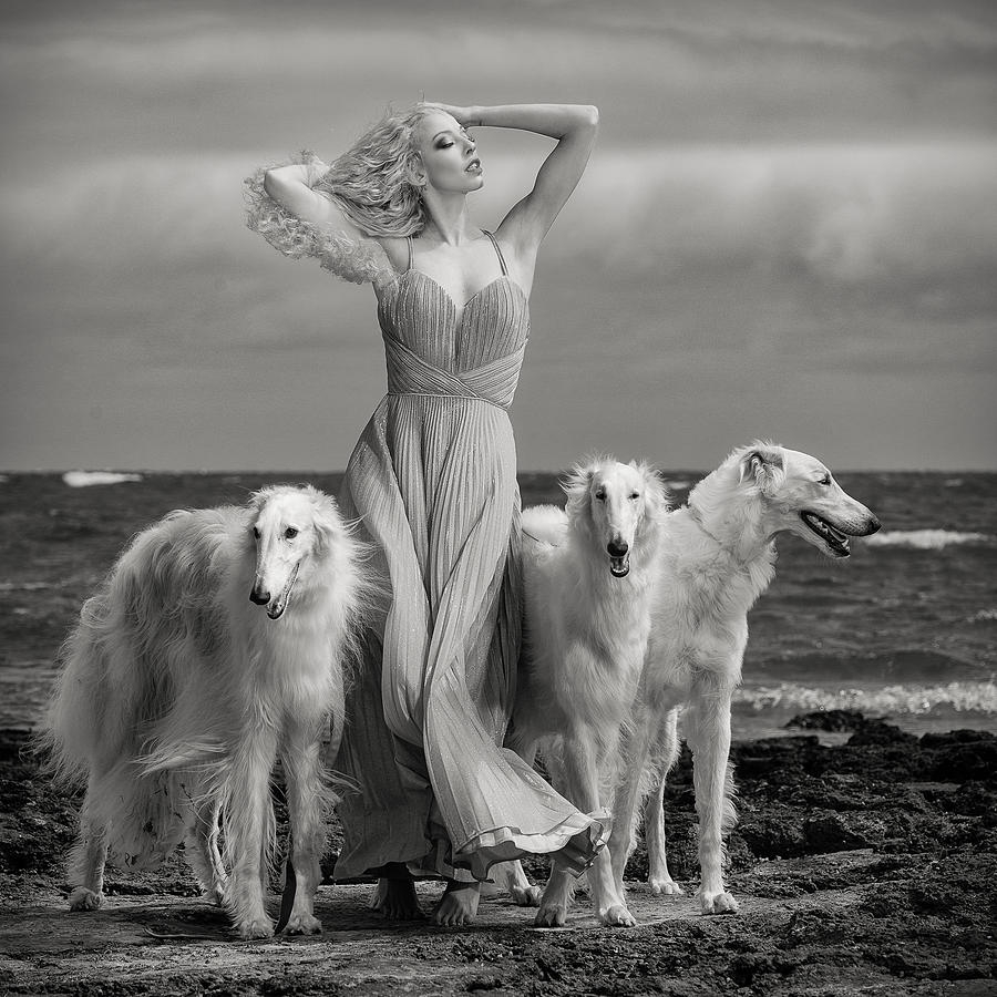 Dog Photograph - Lady With Hounds by Peter Elgar