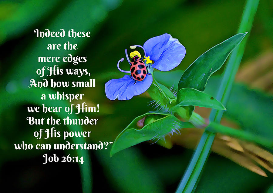 Ladybug with Scripture Digital Art by Gaby Ethington