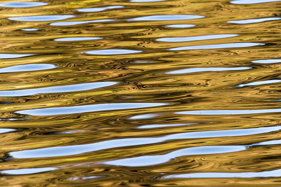 Lago Oro Photograph by Robert Potts